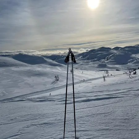 Hjemmekoselig Pa Σπίτι διακοπών Rauland
