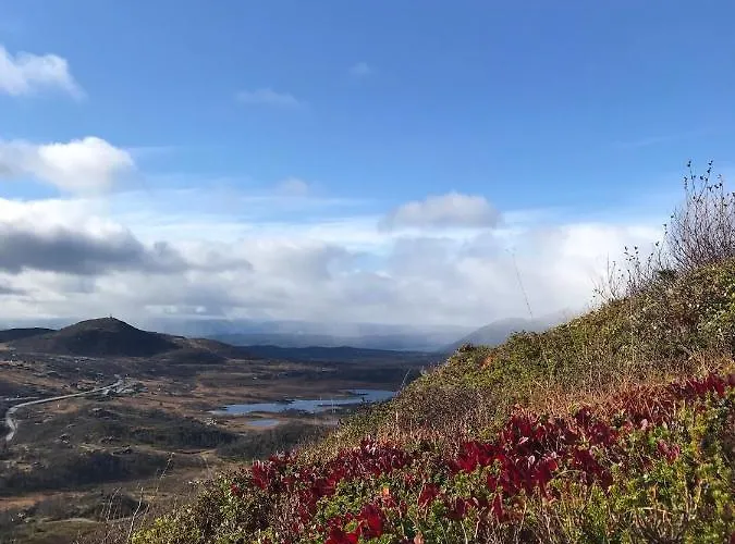 Hjemmekoselig På Feriehus Rauland