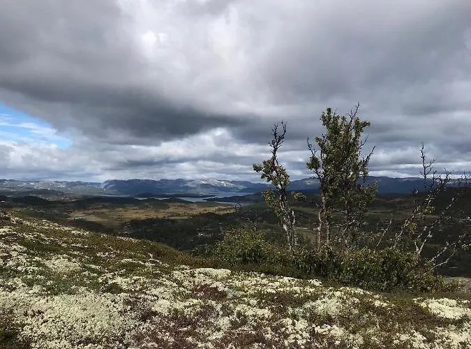 Hjemmekoselig Pa Casa de Férias