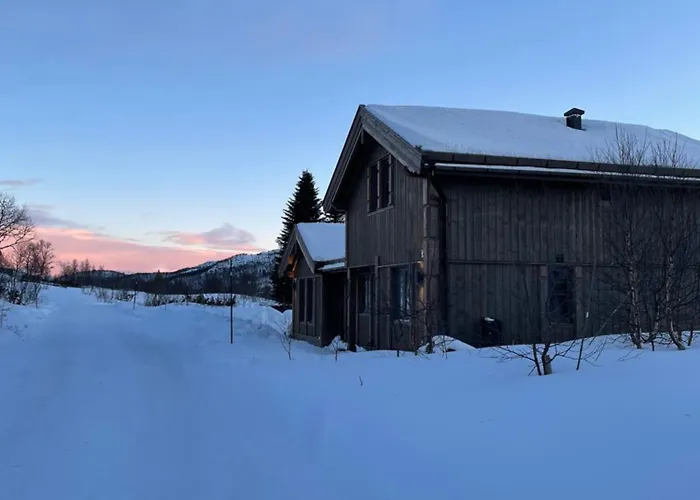 Hjemmekoselig På Feriehus Rauland