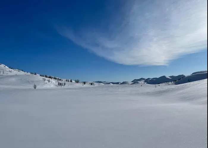 Hjemmekoselig På Rauland
