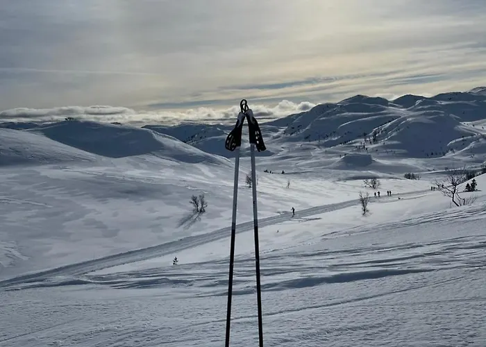 Hjemmekoselig Pa Holiday home Rauland